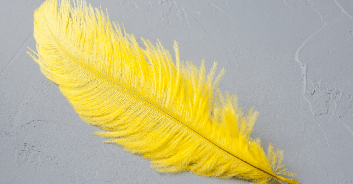Yellow ostrich feather