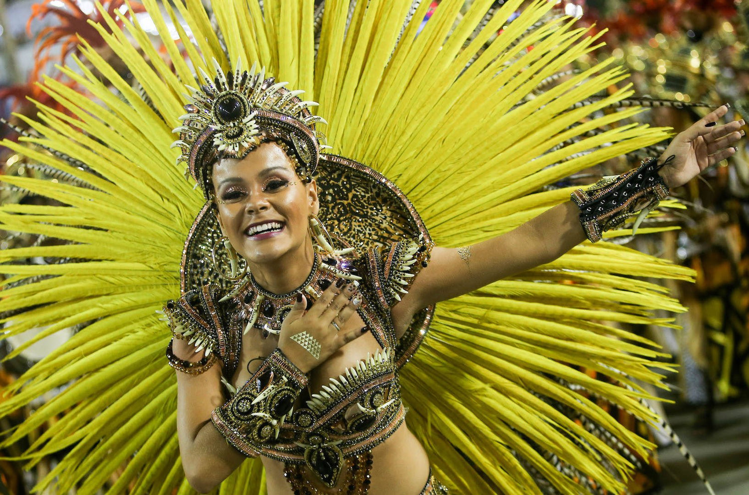Feathers for the Rio Carnival