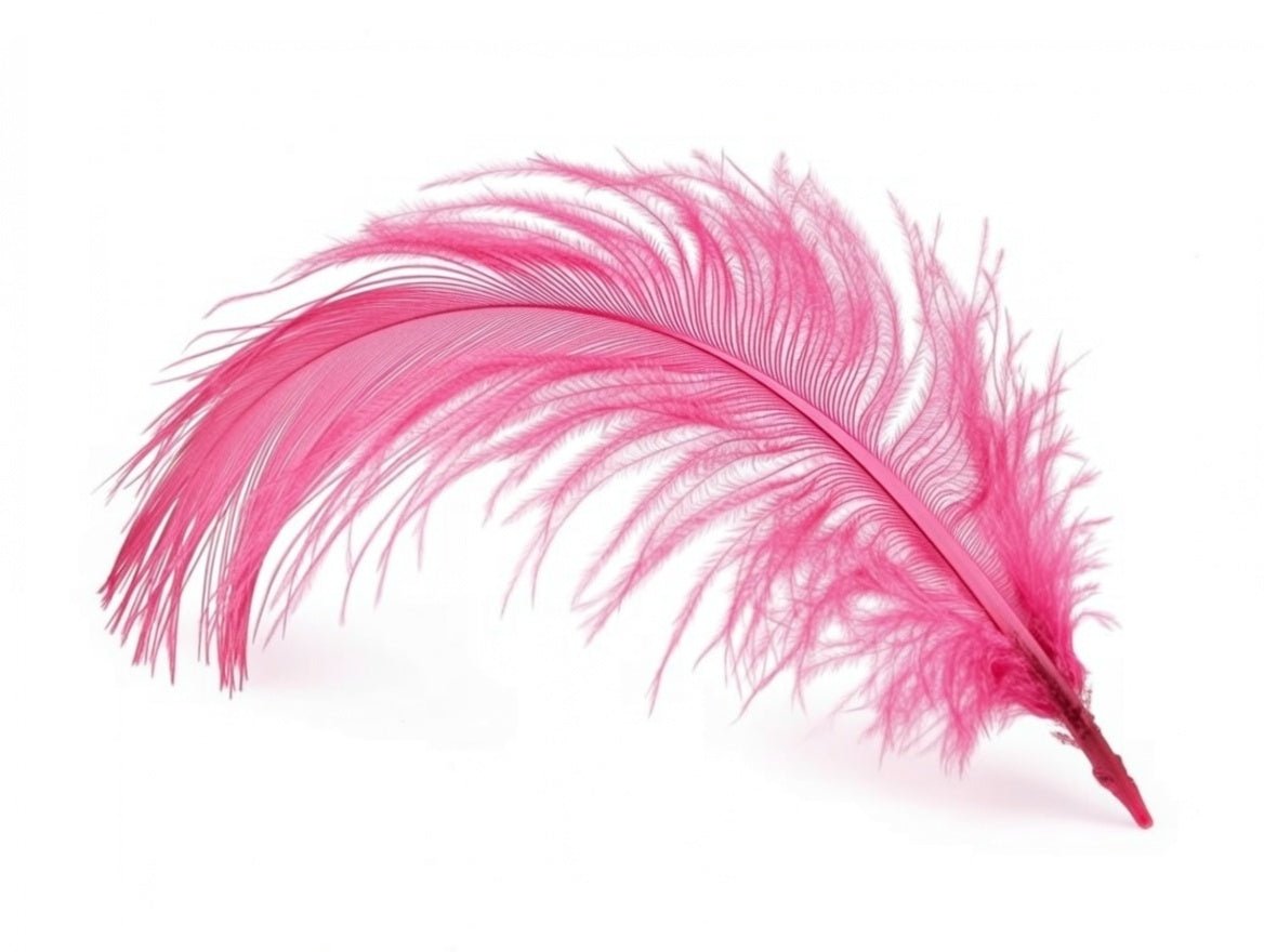 Pink ostrich feather