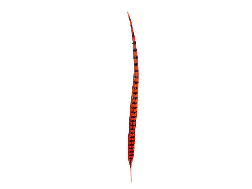 Pheasant Venery Reeves Feathers - Fancy Feather