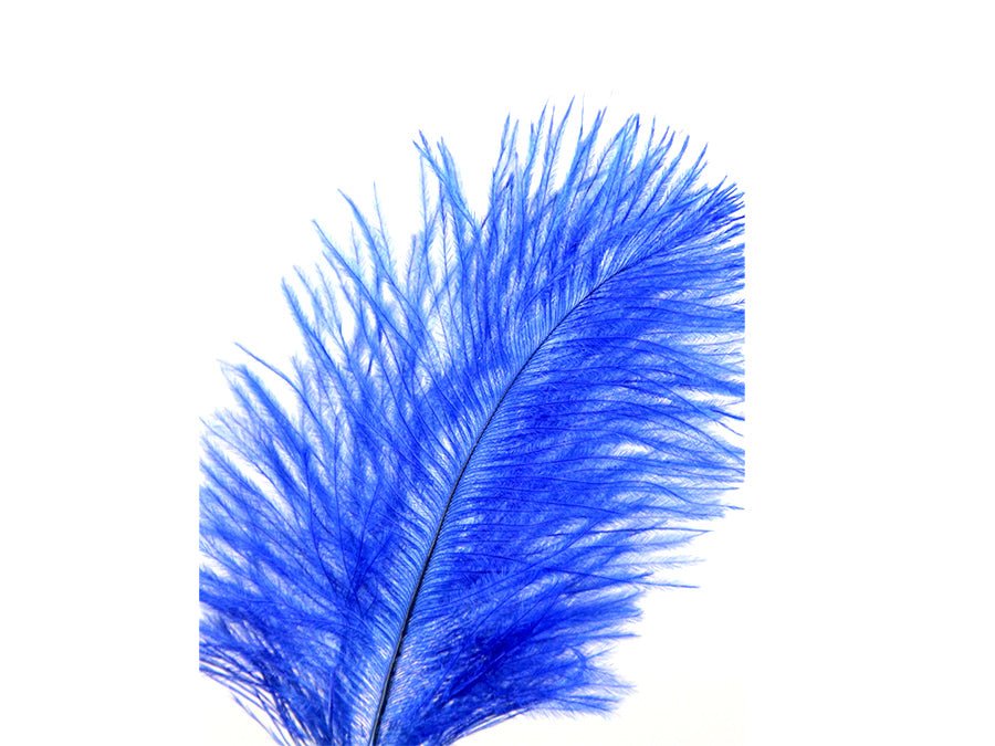 Ostrich Craft Feathers - Fancy Feather
