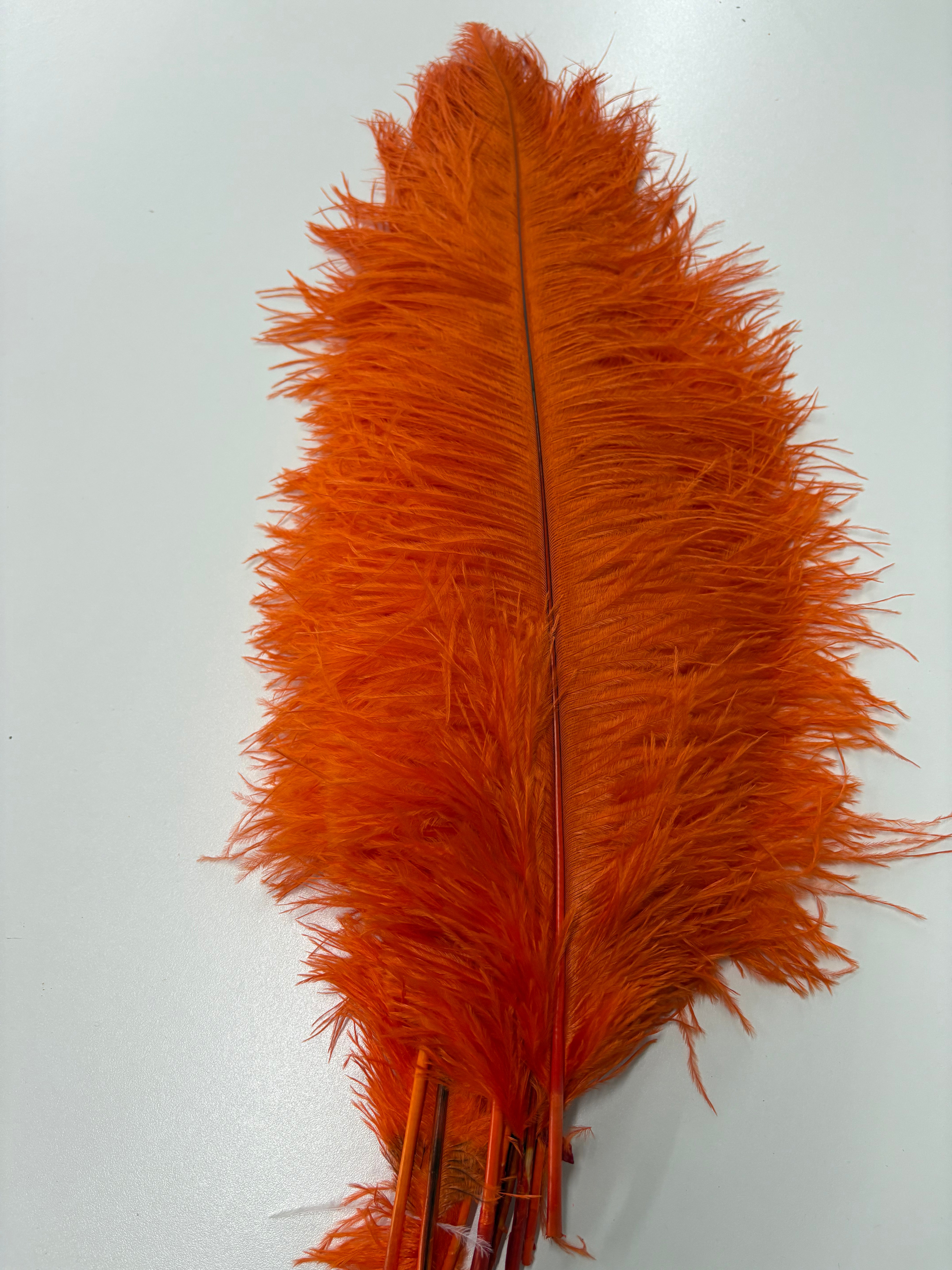 Ostrich Drab Feathers (Long)