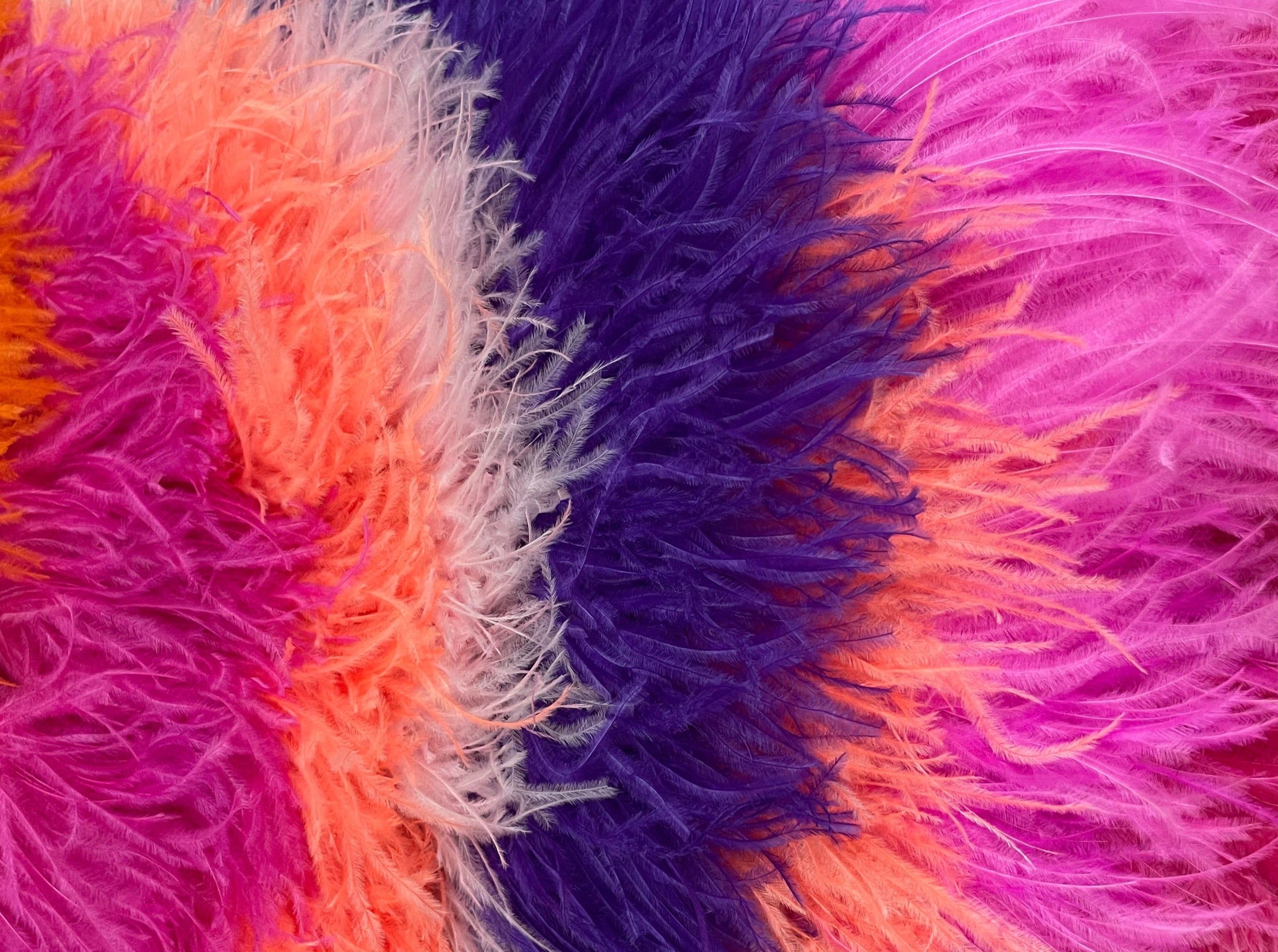 Ostrich Feather Trim in Hot Pink - Yard(s)