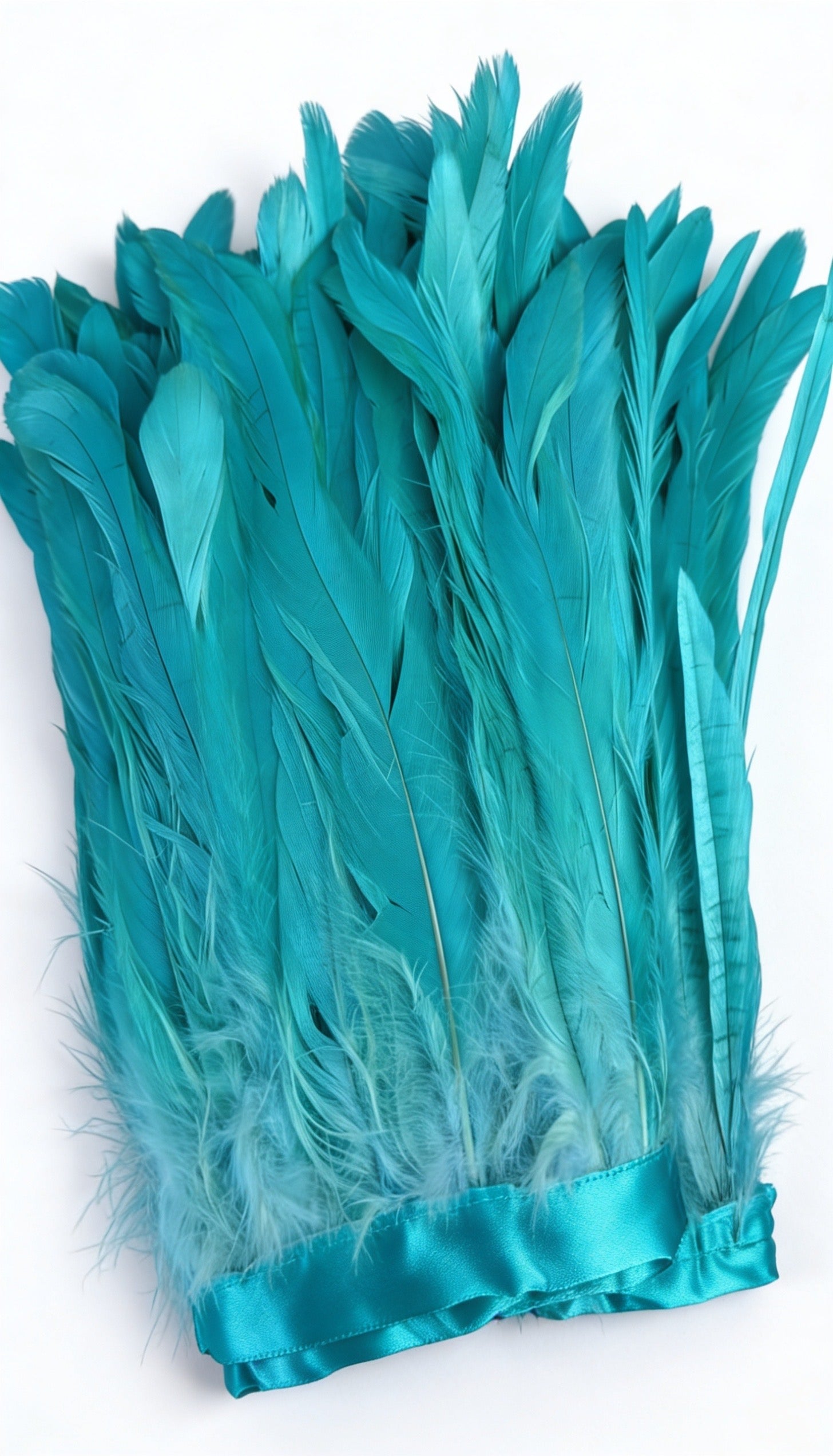 Strung Coque Tail Feather