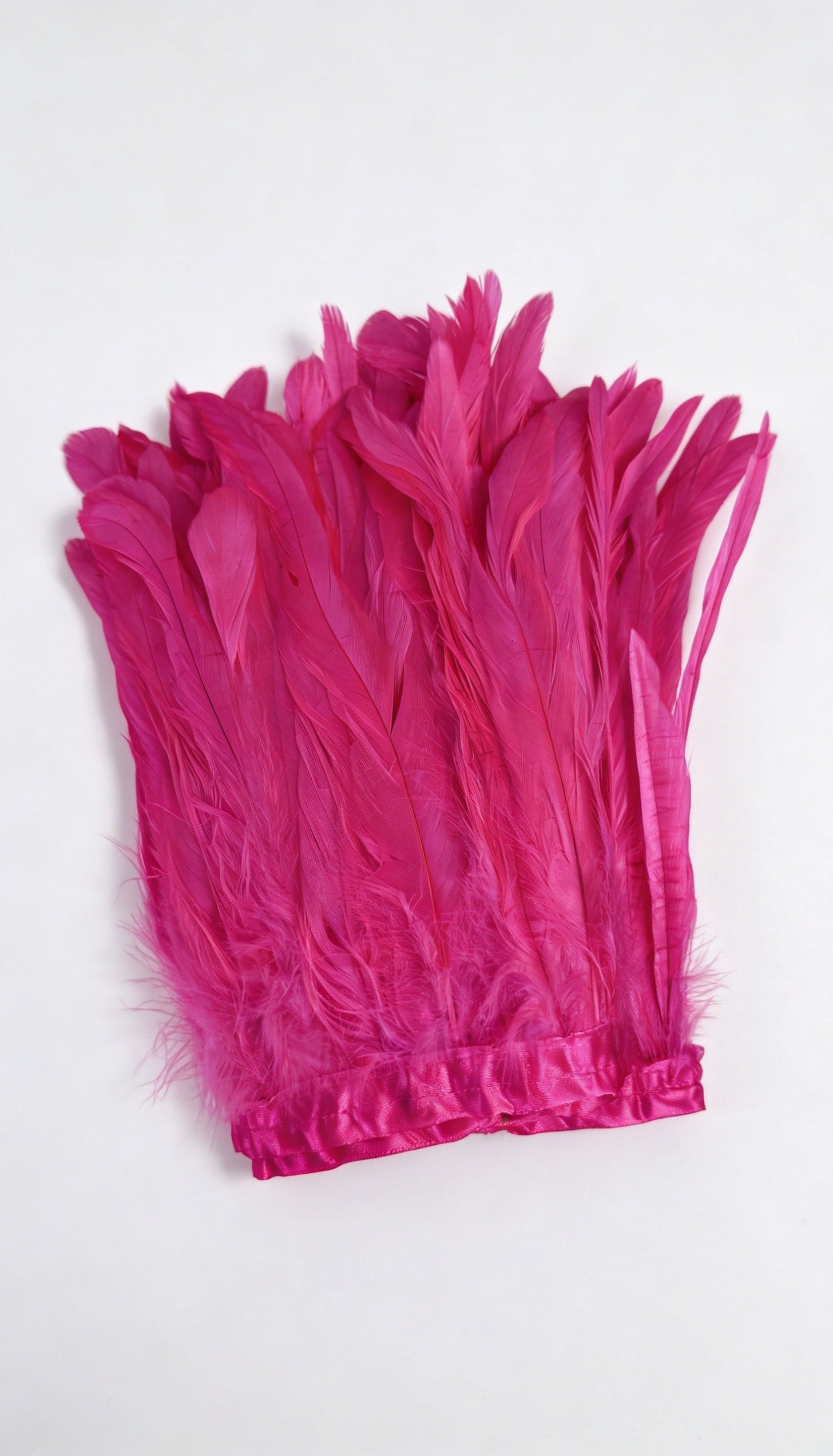 Strung Coque Tail Feather