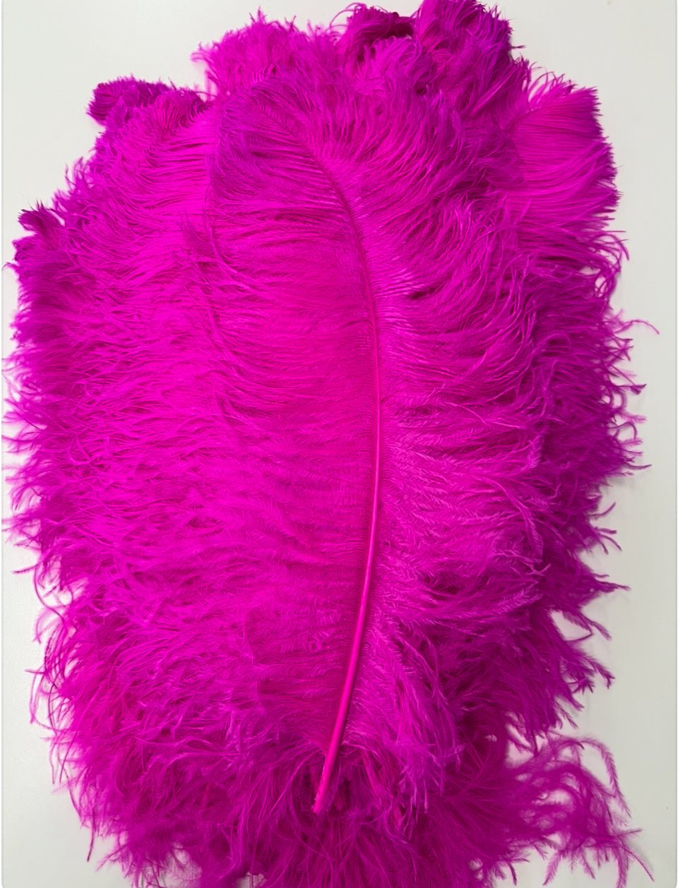 Ostrich Plume Feathers | Ostrich Plumes