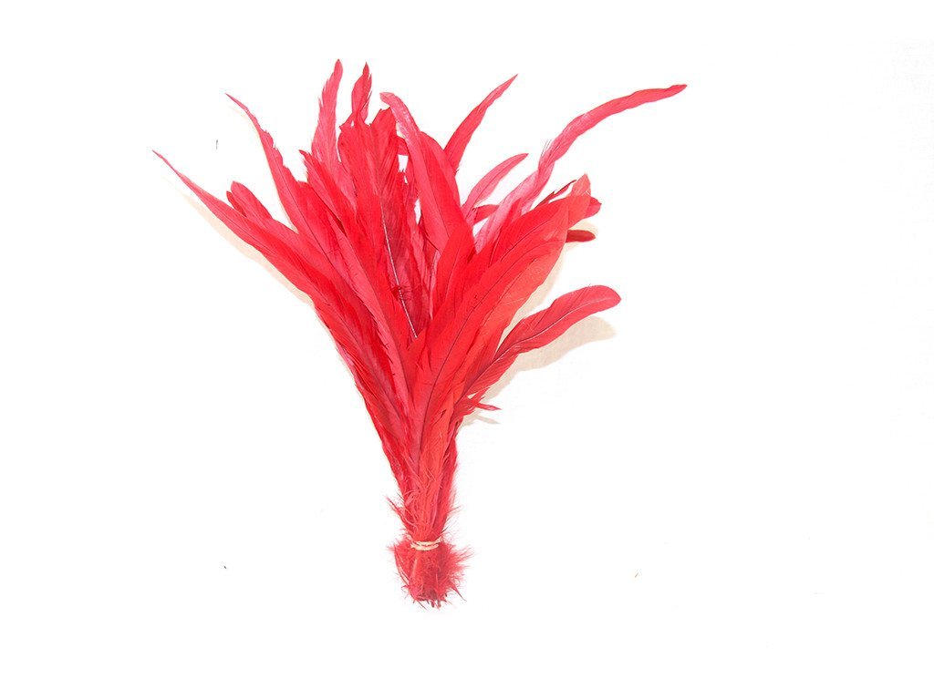 Strung Coque Tail Feather - Fancy Feather