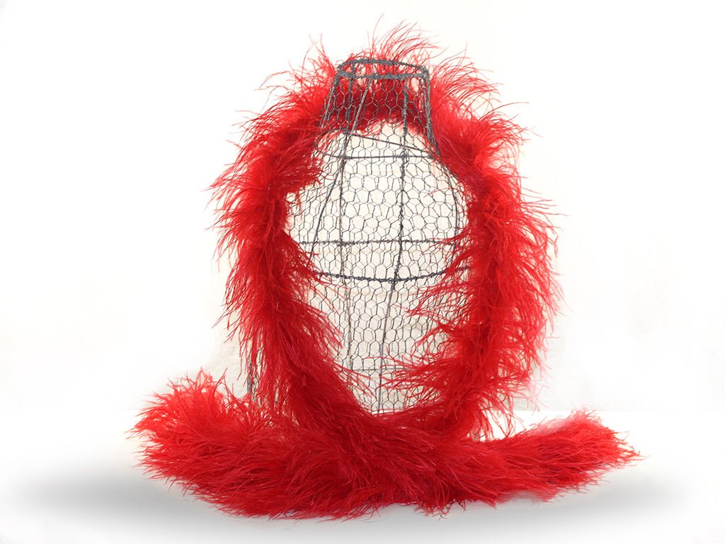 Ostrich with Marabou Feather Boa - Fancy Feather