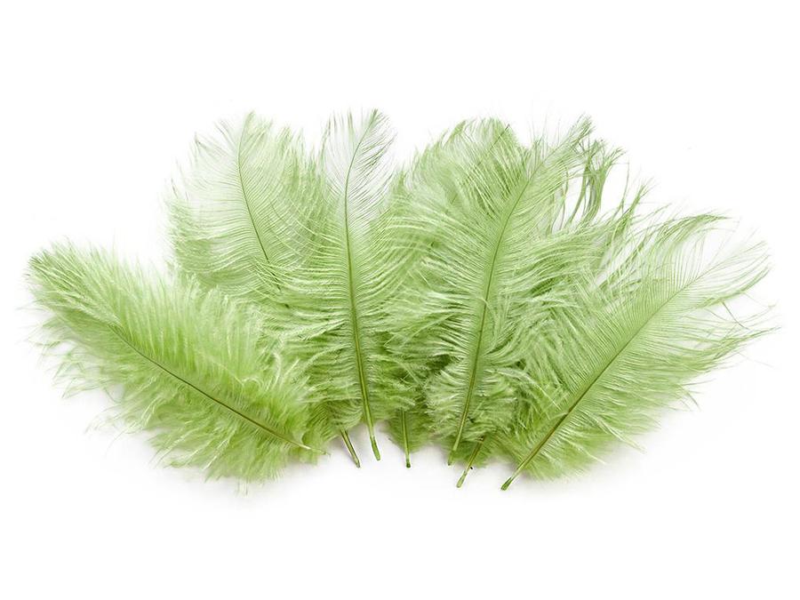 Ostrich Drab Feathers (Short) - Fancy Feather