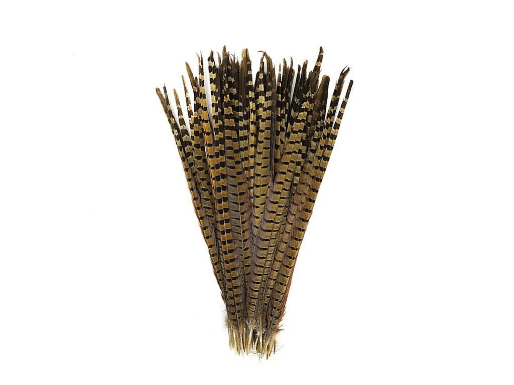 Pheasant Natural Ringneck Feathers - Fancy Feather