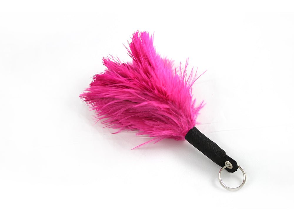 Ostrich Feather Keychains - Fancy Feather