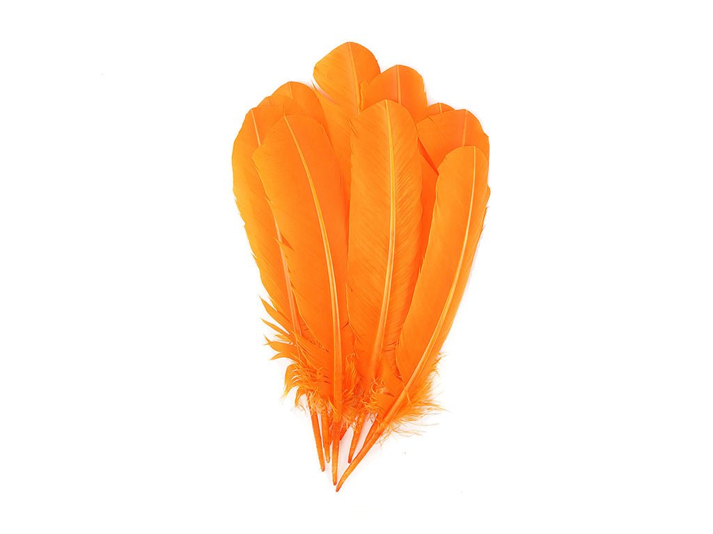 Turkey Feather Quills - Fancy Feather