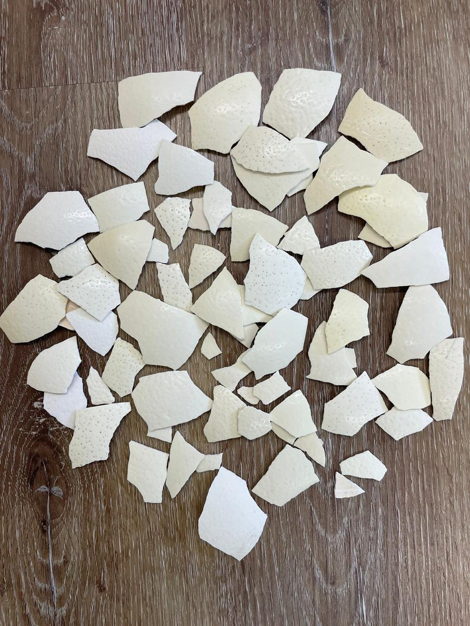 Ostrich Eggshells Broken Pieces (Fragments)