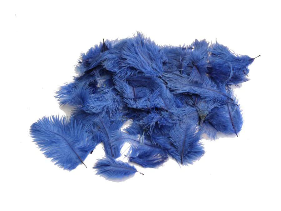 Ostrich Craft Feathers