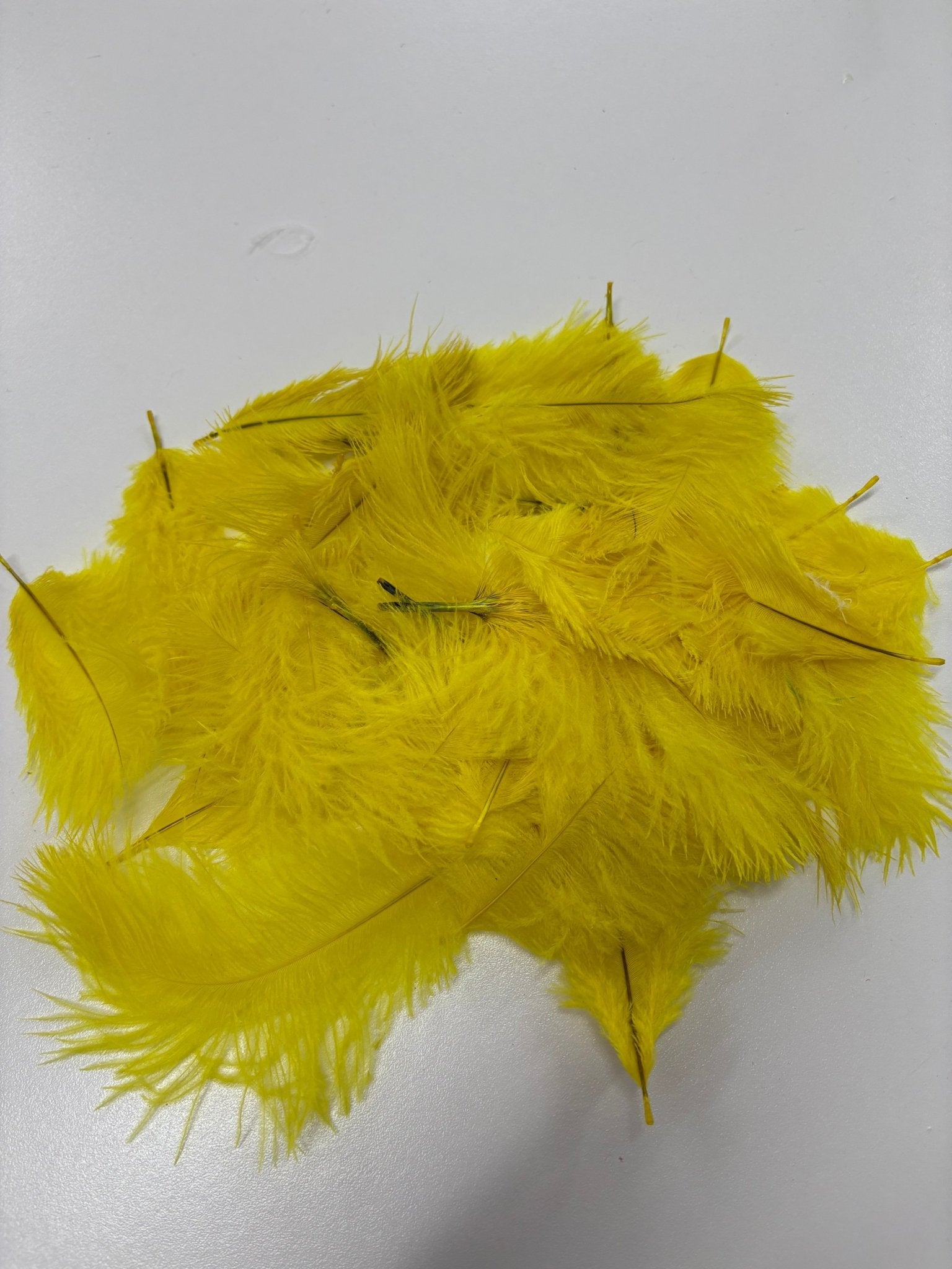 Yellow Ostrich Feathers