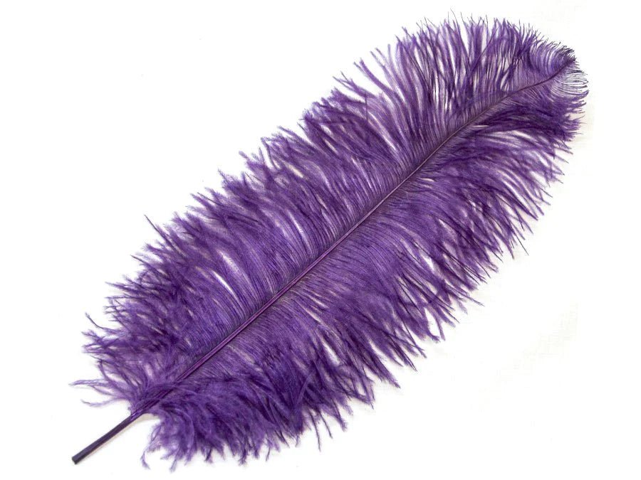 Ostrich Wing Feathers