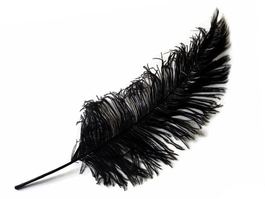 Ostrich Spad Feathers