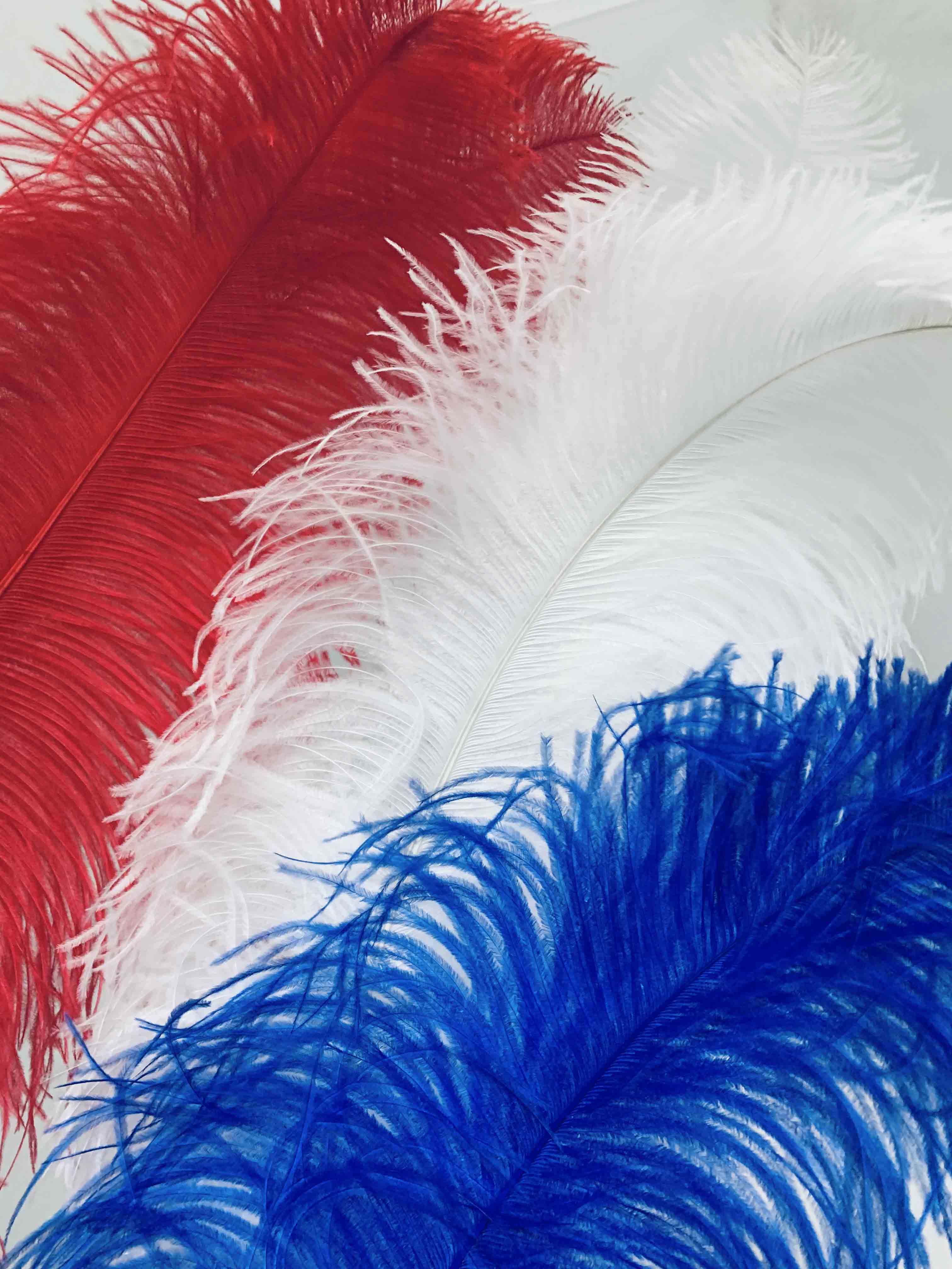 4th Of July Sale - Fancy Feather
