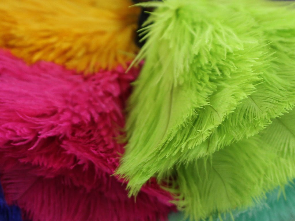 Ostrich Feather Keychains