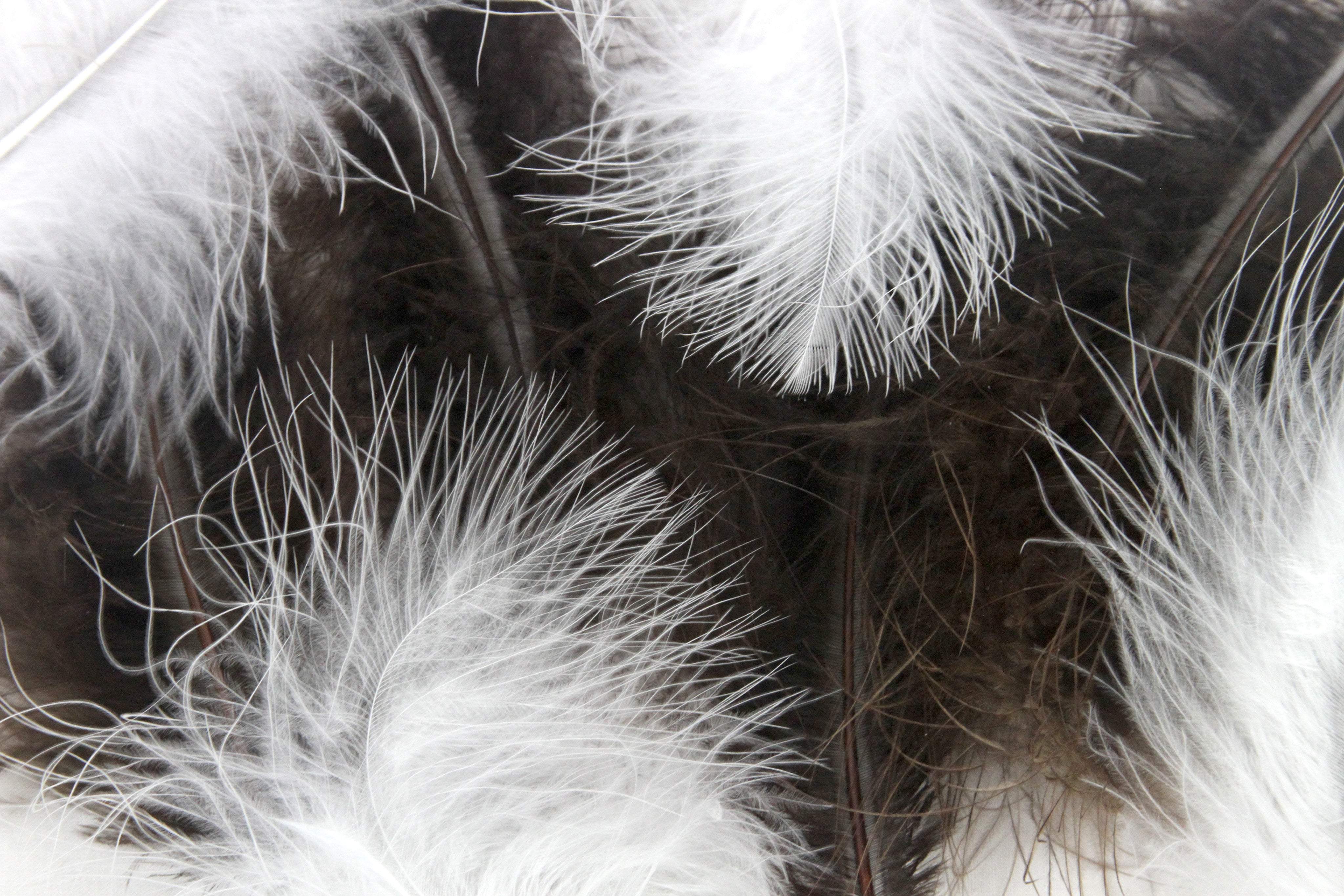 Marabou Feathers