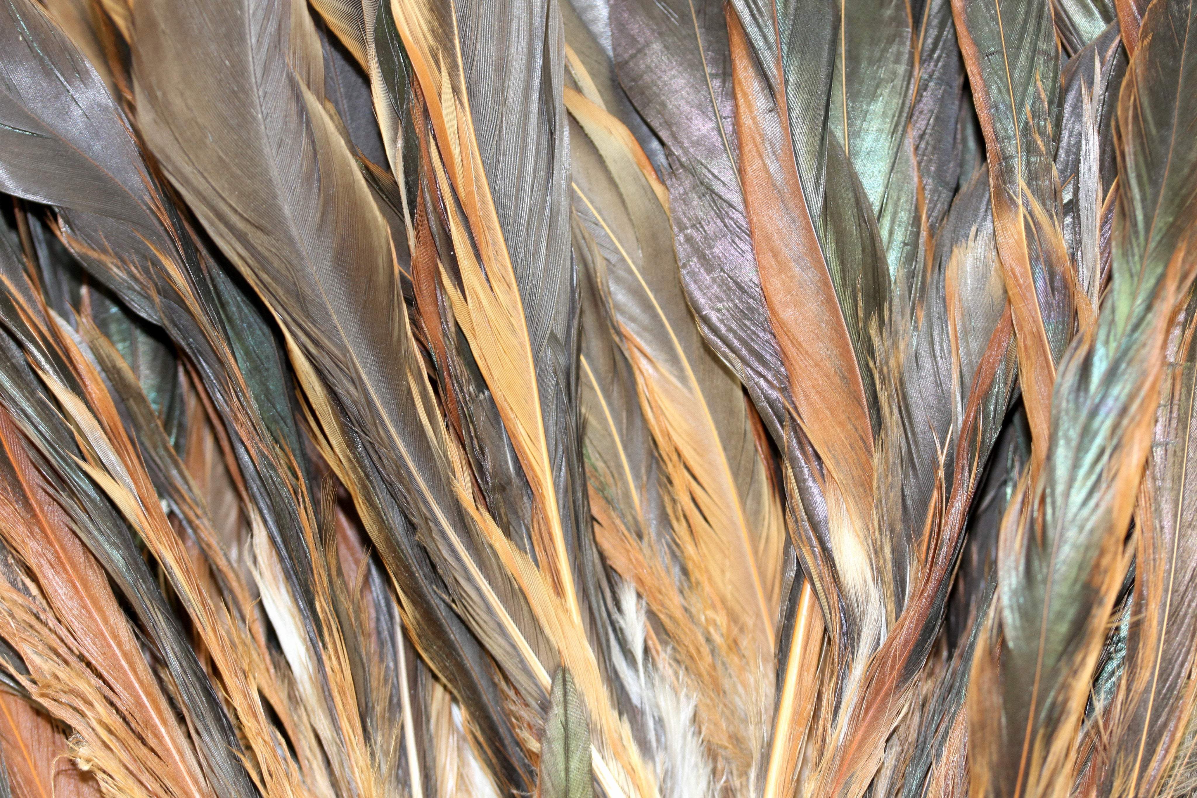 KOLIGHT Pack of 10 Yards Natural Rooster Hackle Feather Trim Fringe 4-6 in Width DIY Decoration (Pink) : Buy Online at Best Price in KSA - Souq is now