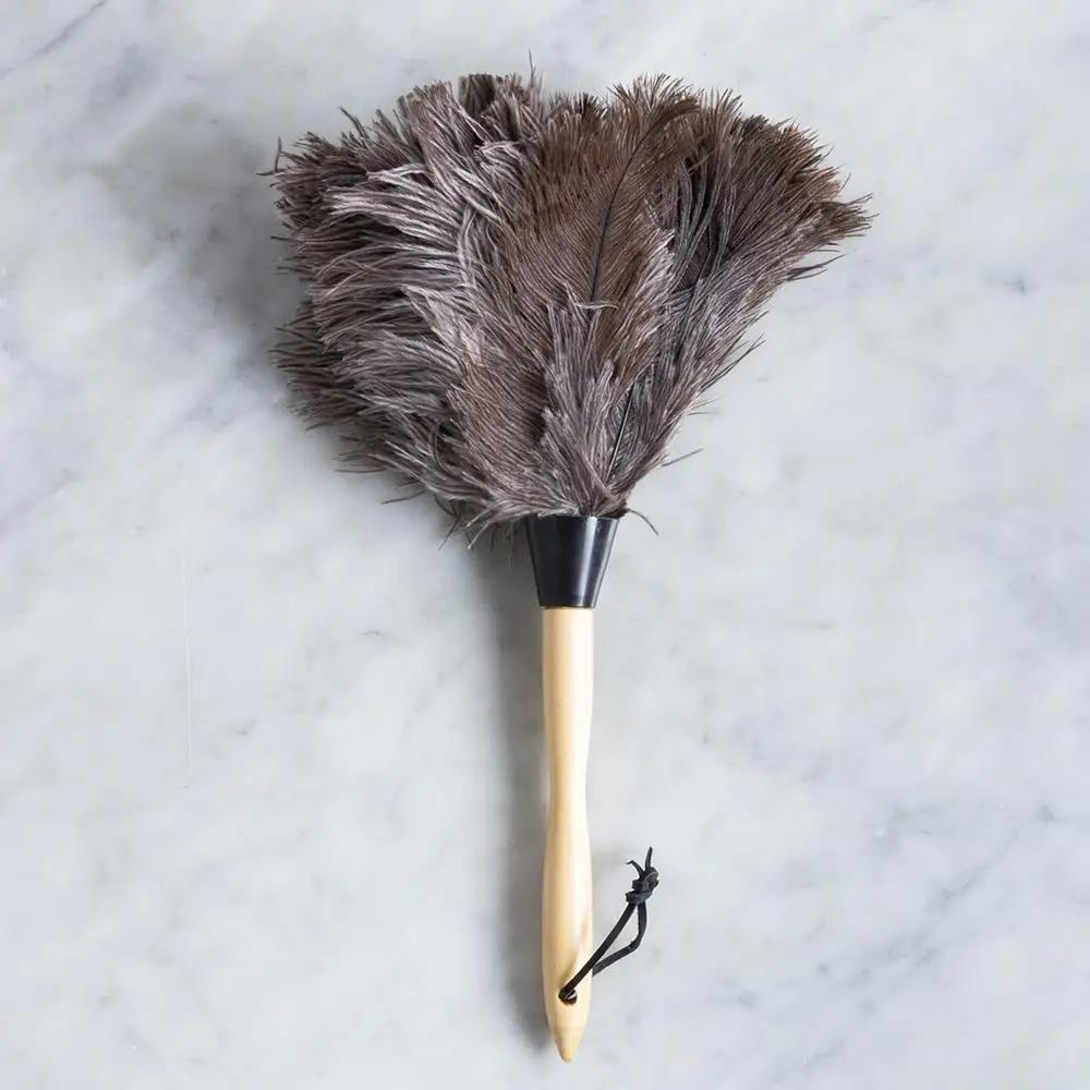 Ostrich Feather Duster