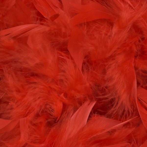 feathers