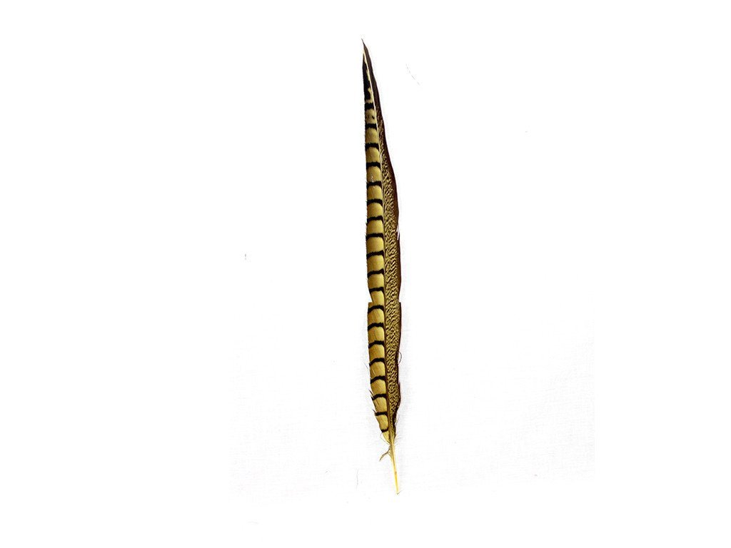 Lady Amherst Pheasant Feathers - Stem Dyed - Fancy Feather