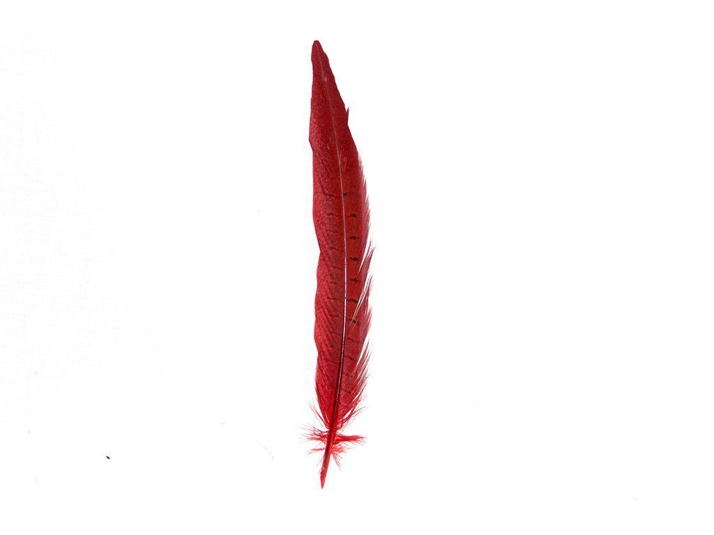 Pheasant Dyed Ringneck Feathers - Fancy Feather