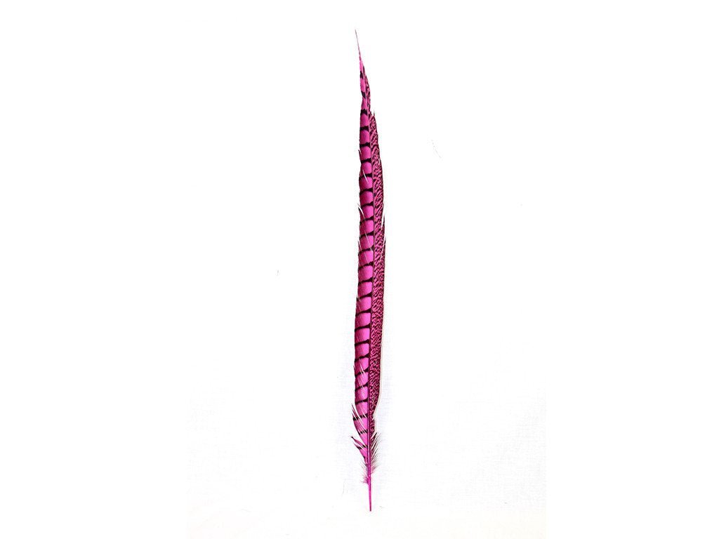 Lady Amherst Pheasant Feathers - Stem Dyed - Fancy Feather