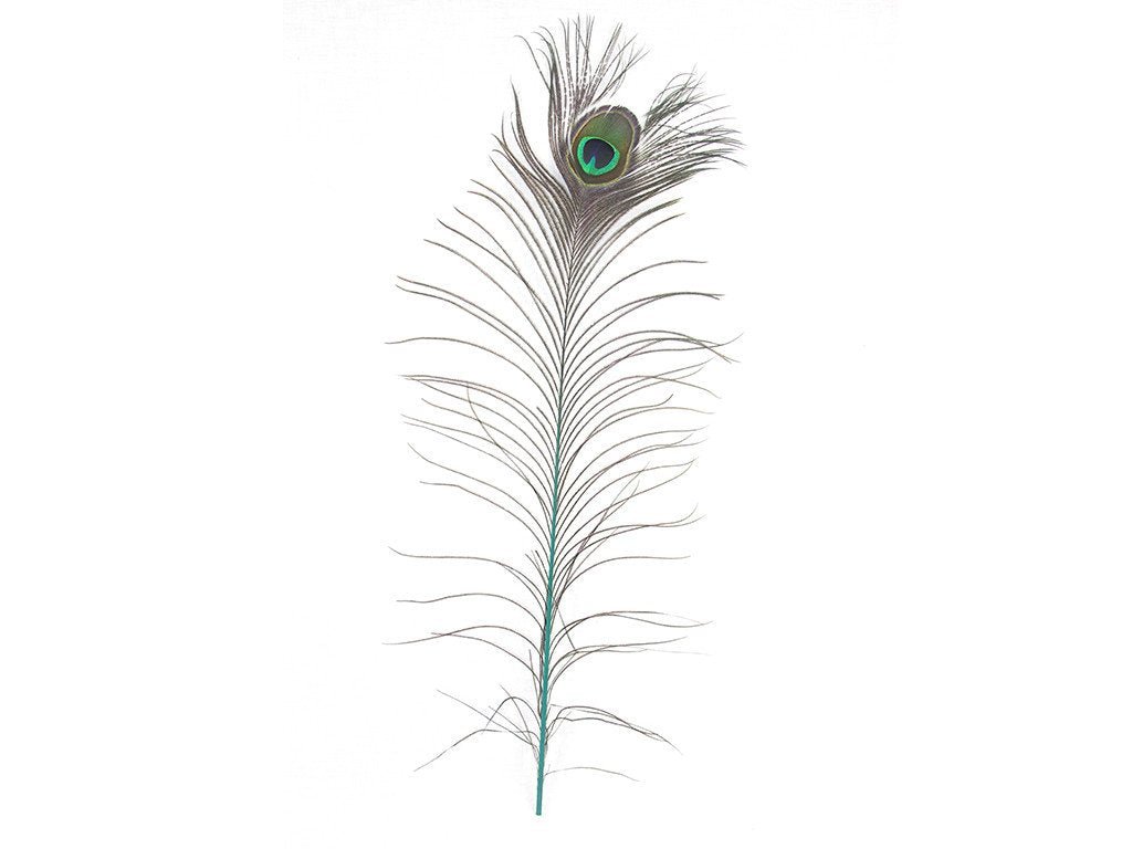 Peacock Eye Feathers - Stem Dyed - Fancy Feather