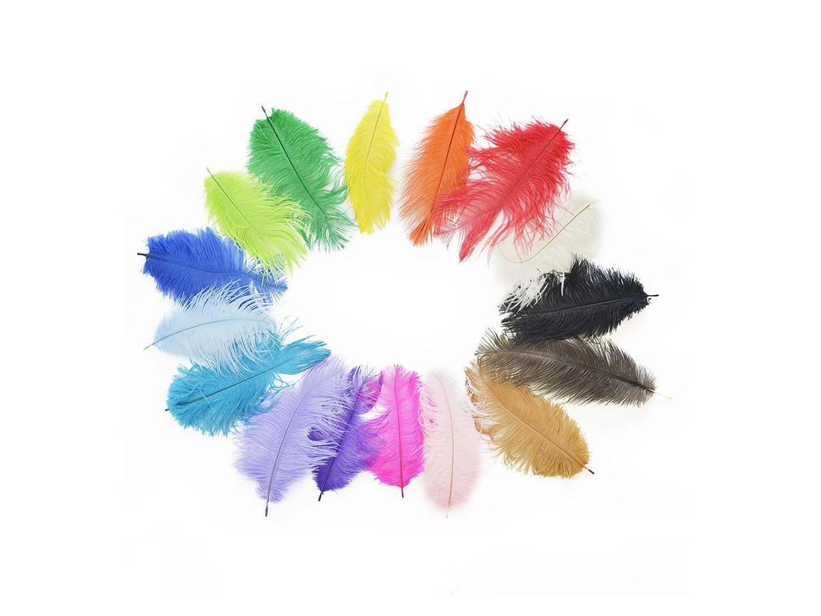 Ostrich Craft Feathers - Fancy Feather