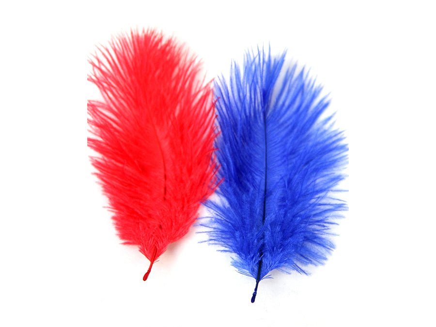 Ostrich Craft Feathers - Fancy Feather