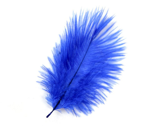 Feathers for Sale Online USA | Fancy Feather