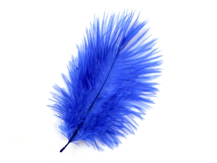 Ostrich Craft Feathers - Fancy Feather