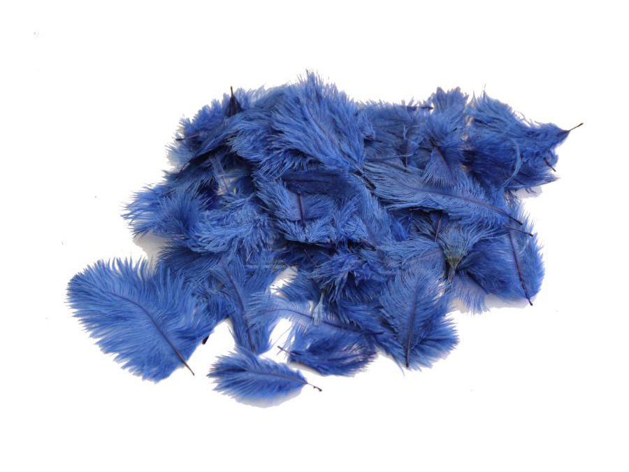 Ostrich Craft Feathers - Fancy Feather