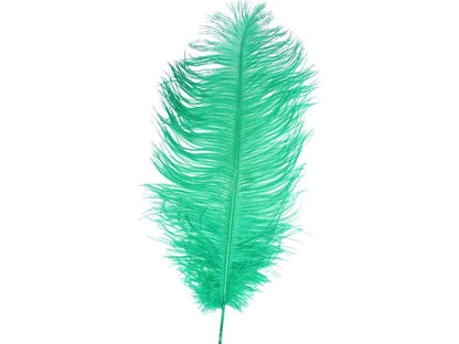 Ostrich Drab Feathers (Long) - Fancy Feather