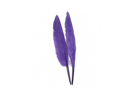 Duck Pointer Feathers - Fancy Feather