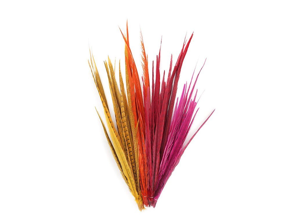 Pheasant Dyed Ringneck Feathers - Fancy Feather