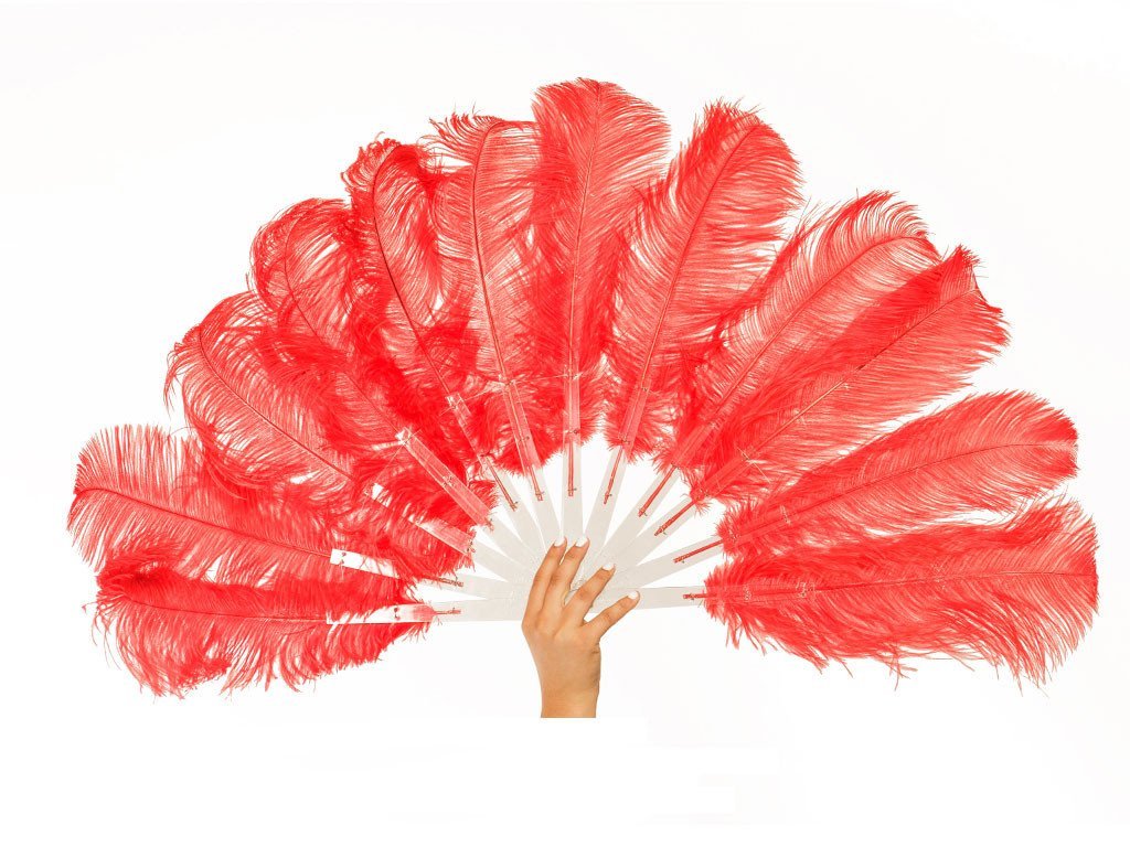 Economy Burlesque Fan - Single Layer - Fancy Feather