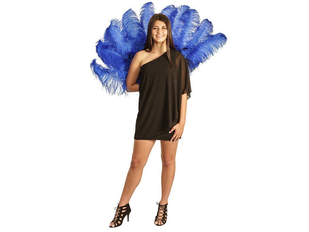 Fancy Burlesque Fan - Double Layer - Fancy Feather