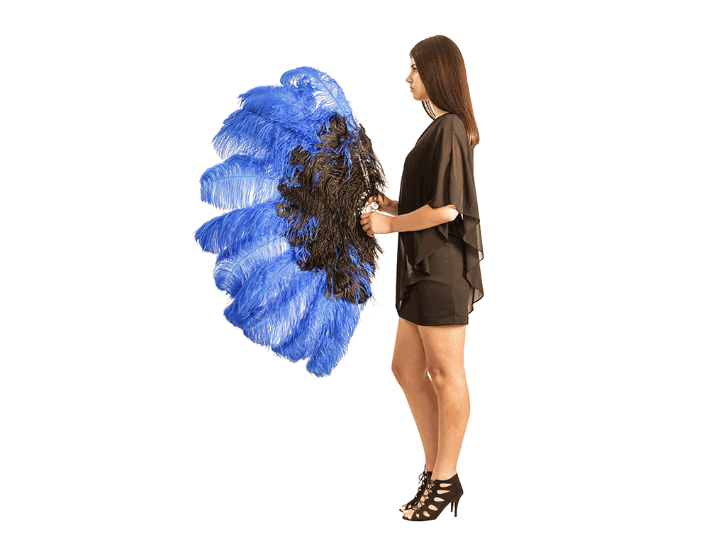 Fancy Burlesque Fan - Double Layer - Fancy Feather