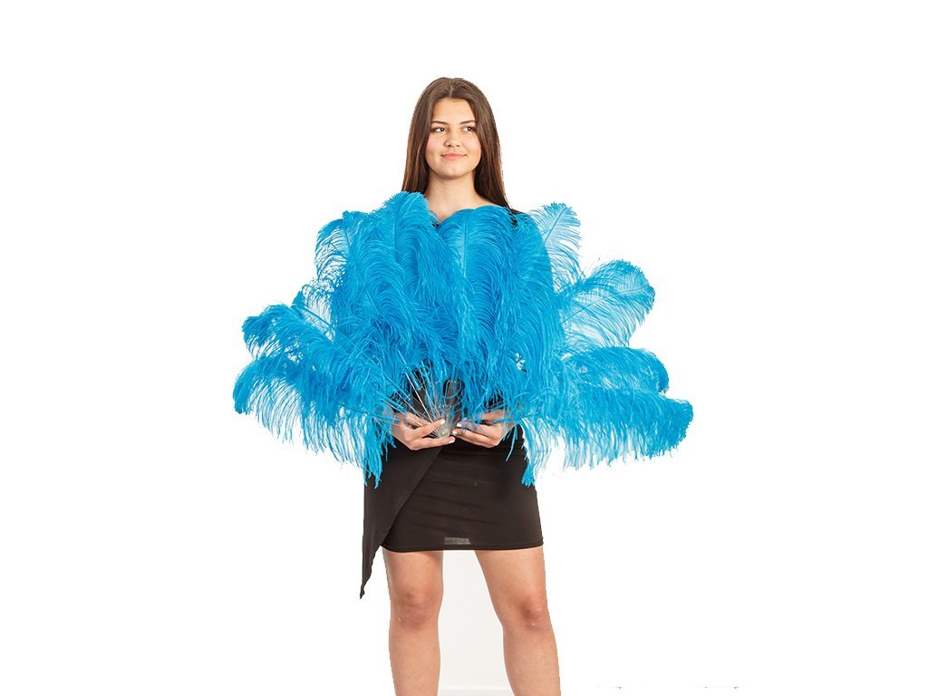 Petite Fan - Single Layer - Fancy Feather