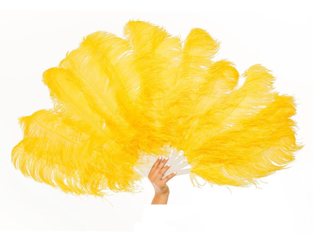 Fancy Burlesque Fan - Single Layer - Fancy Feather