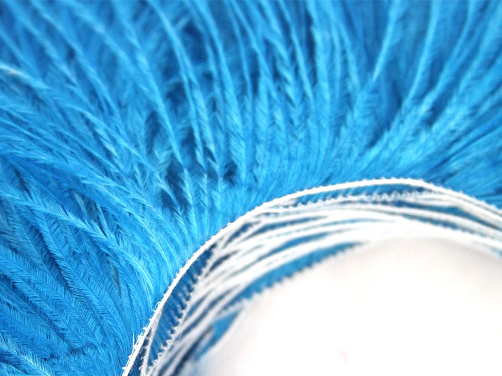 Ostrich Feather Fringe - Fancy Feather