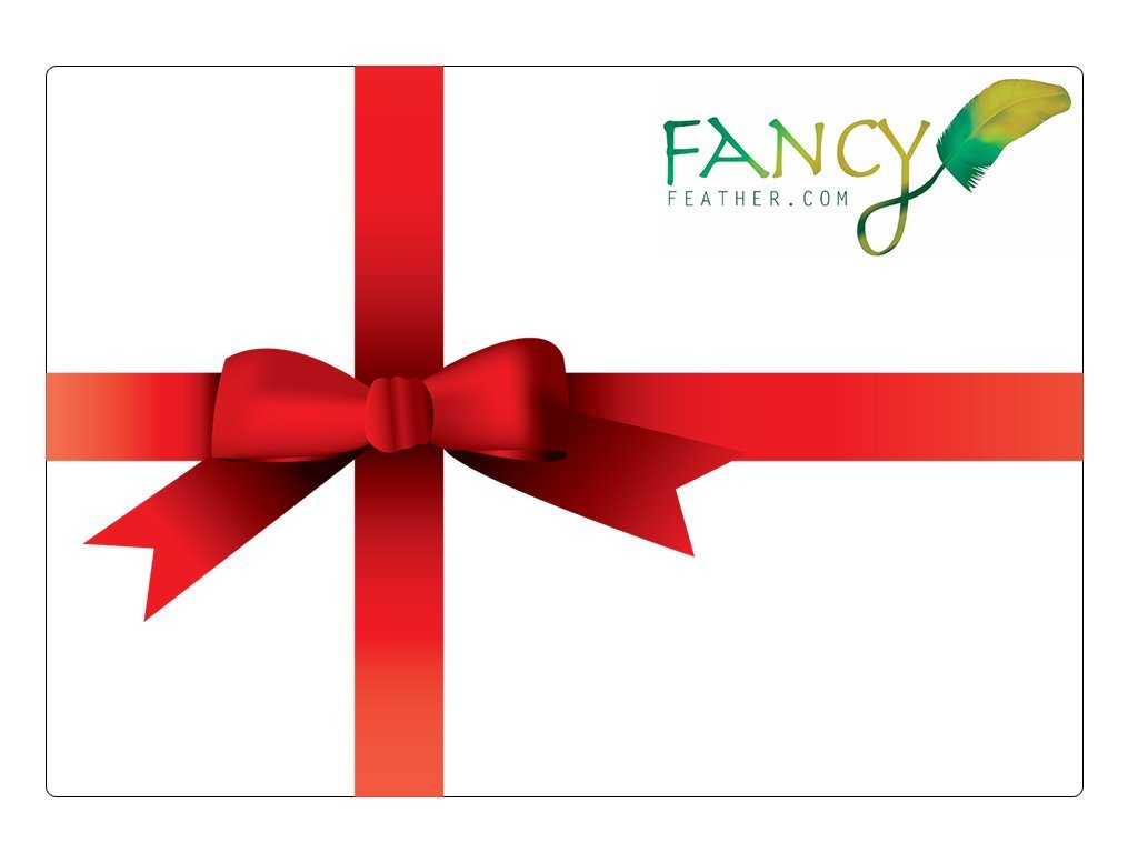 Gift Card - Fancy Feather