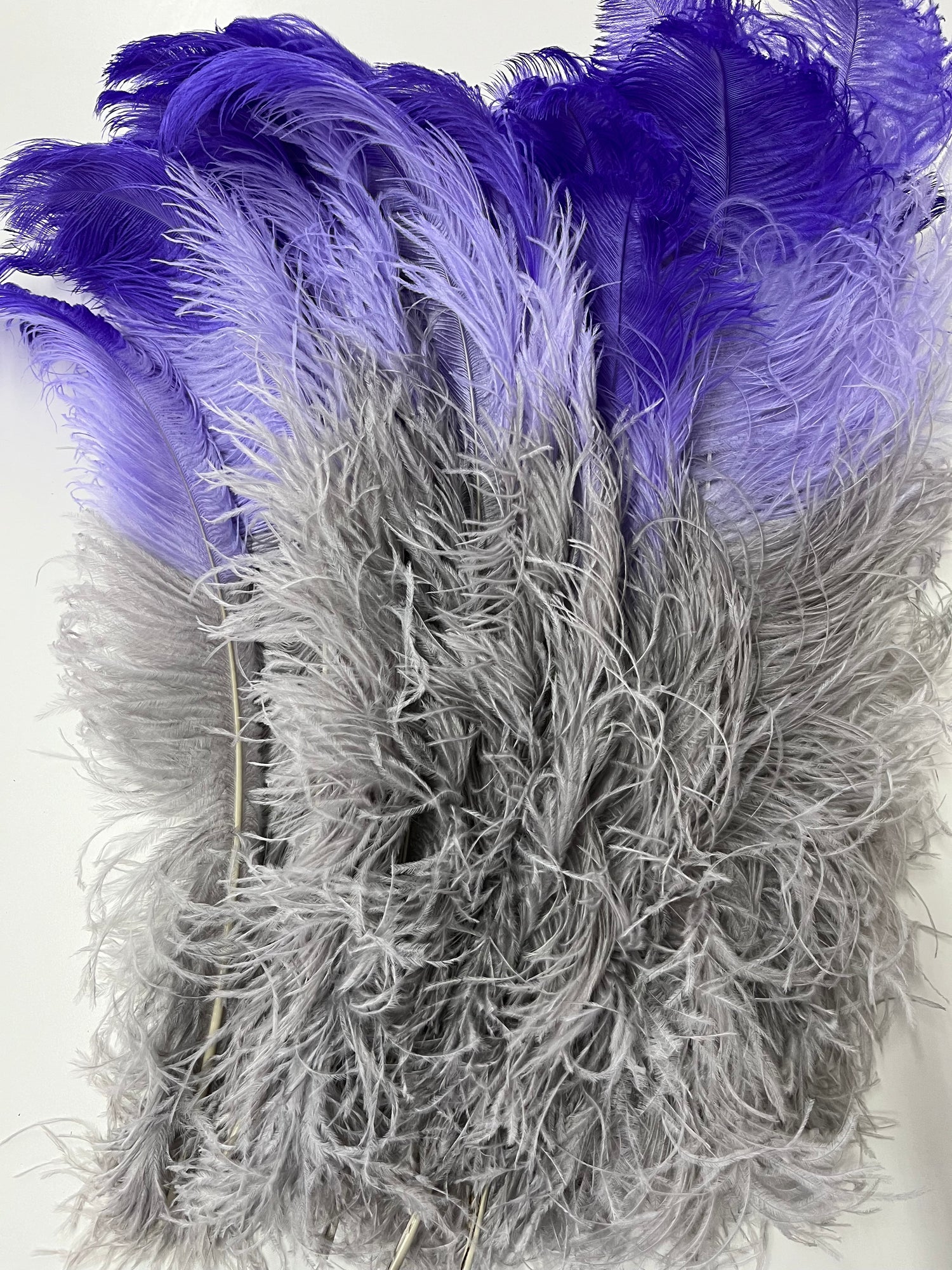 Ostrich Tip Dyed Wing Feathers | Ostrich Plumes