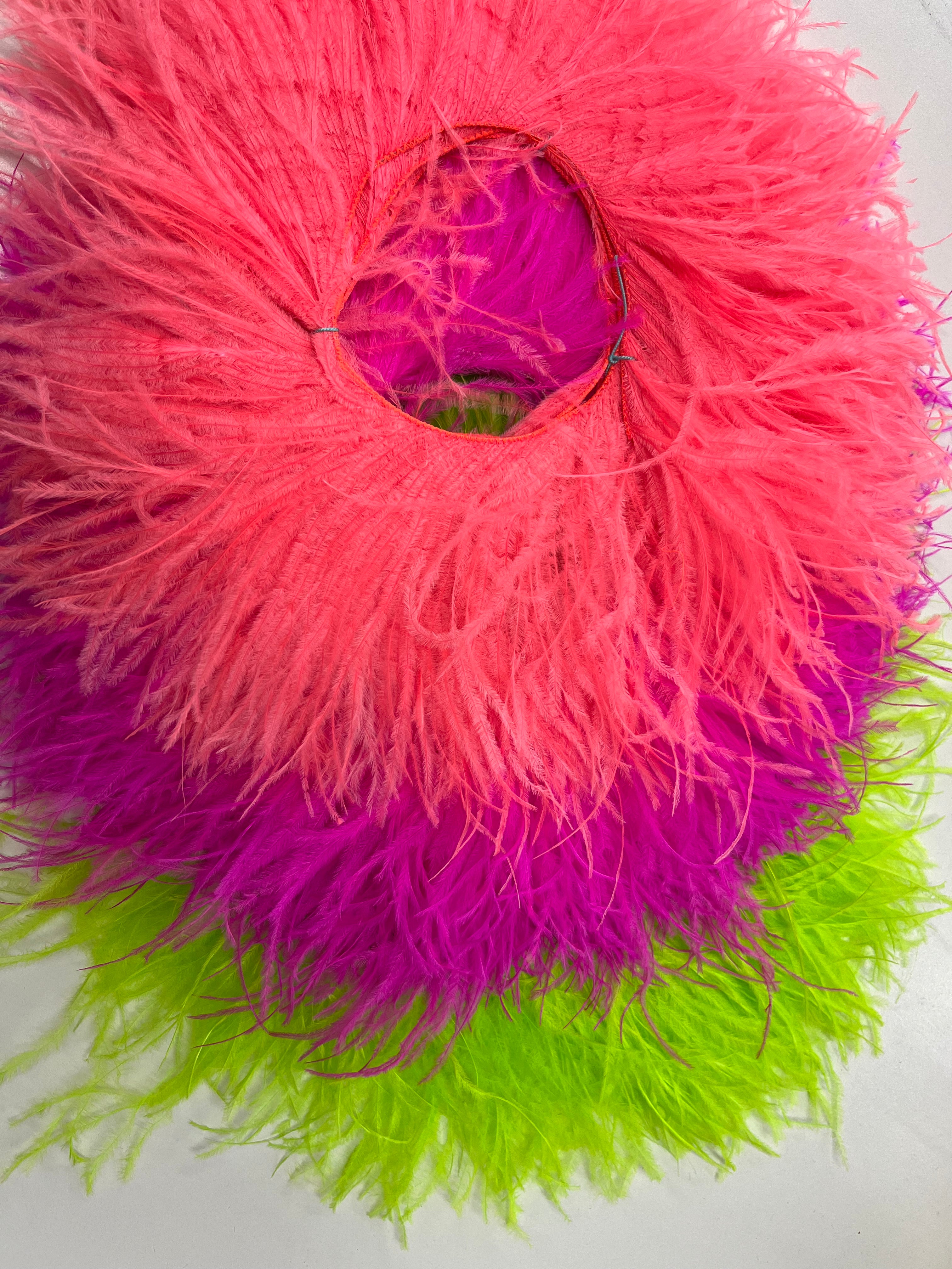 Ostrich shops feathers