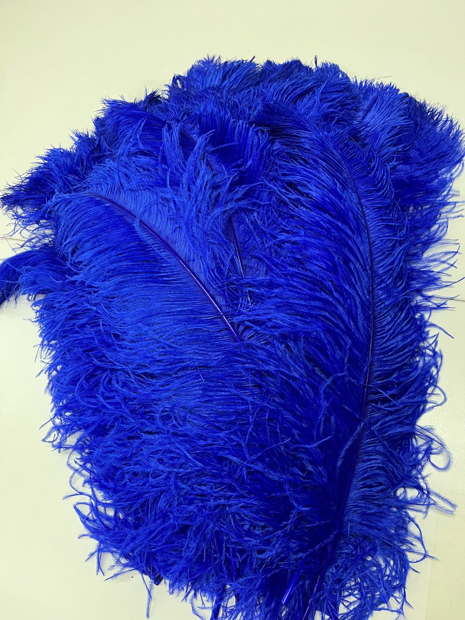 Ostrich Wing Feathers | Ostrich Plumes