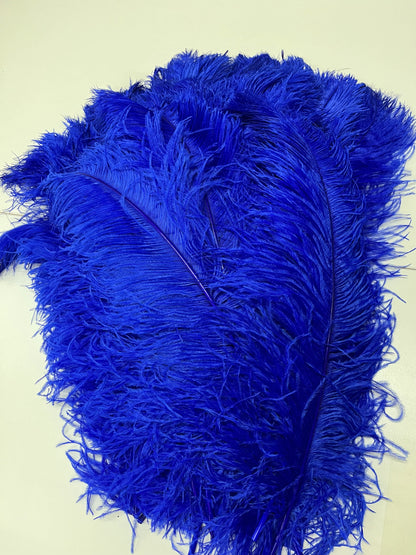 Ostrich Plume Feathers | Ostrich Plumes